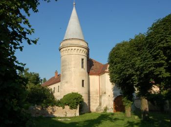 Randonnée A pied Gemeinde Bad Fischau-Brunn - Rundumadum Bad Fischau - Photo