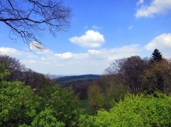 Randonnée A pied Lautertal - Rundwanderweg Lautertal 1: Felsenmeer-Rundweg - Photo