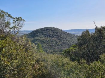 Tocht Stappen Saint-Côme-et-Maruéjols - Maruejols et oppidum  - Photo