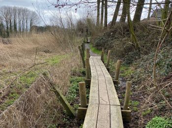 Randonnée Marche Bracle - Parcours éphémère de Everbeek 12km - Photo