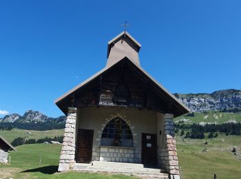 Percorso Mountainbike Thônes - tour plateau glieres  - Photo