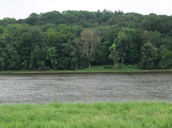 Tour Zu Fuß  - Grüner Oderweg - Photo