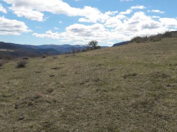 Trail Walking Cans et Cévennes - Autour du MAZEL via CROUPILLAC - Photo