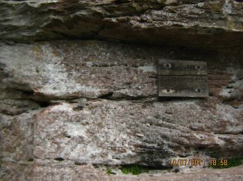 Trail On foot Vorderweidenthal - Rotsandsteinweg - Photo