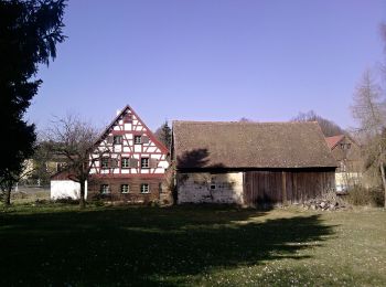 Randonnée A pied Neualbenreuth - Alter Herrgott Weg - Photo