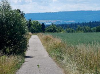 Tocht Te voet Karlsbad - Spielberg: Waldkulturpfad - Gscheidweg - Photo