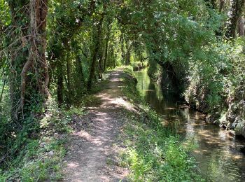 Tocht sport Lorgues - Tour St Jaumes pont d’argens thoronet - Photo