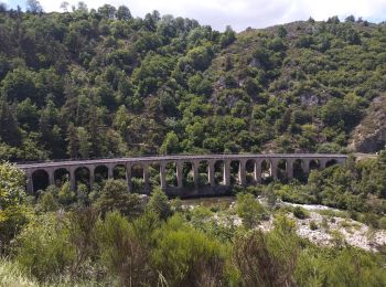 Tour Rennrad Langogne - Langogne, le nouveau monde - Photo