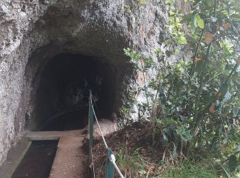 Trail Walking São Jorge - Levada del Rei - Photo