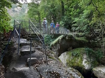 Excursión Senderismo Casteil - abbaye St Matin du Canigou - Photo