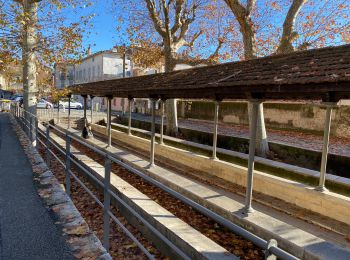 Tocht Stappen Draguignan - Malmont 10 km - Photo