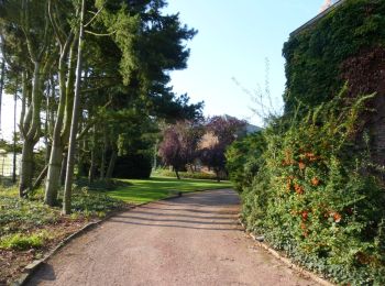 Randonnée A pied Saint-Trond - Bernissem wandeling - Photo