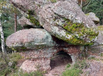 Randonnée Marche Celles-sur-Plaine - Bionville Rambiroche - Photo