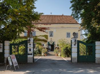 Tocht Te voet Pfarrkirchen bei Bad Hall - Möderndorfer Rundwanderweg - Photo