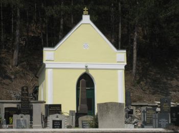 Tour Zu Fuß Gemeinde Piesting - Markt Piesting - Alkersdorf - Mühltal - Oberpiesting - Photo