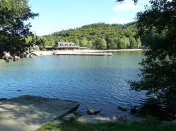 Percorso A piedi Chambon-sur-Lac - Le Lac Chambon - Photo