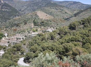 Percorso Marcia Canillas de Albaida - CIRCULAR_TAFRAOUTE - Photo