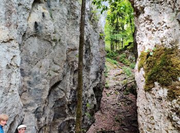 Excursión Senderismo Oltingue - randonnée au départ d'Oltingue chapelle St Martin - Photo