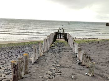 Tour Wandern Veere - Se promener dans Westkapelle et dans les dunes - Photo