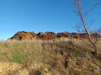 Trail Walking Sisteron - SISTERON.  Bois de la Bûche N - Photo