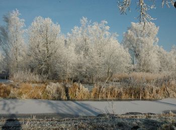Trail On foot Amsterdam - Groene Wissel: Amsterdam-Amstel - Photo