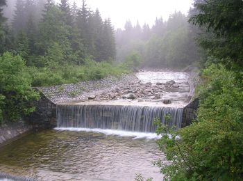 Tour Zu Fuß Rochlitz an der Iser - [Z] Vosecká bouda - Pod Dívčí strání - Photo