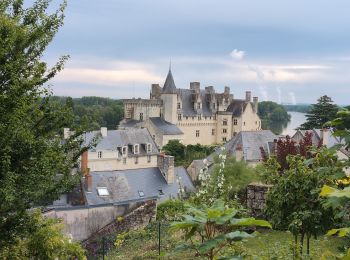 Trail Walking Montsoreau - Montsoreau - Candes-Saint-Martin Fontevraud-l'Abbaye - 24.4km 435m 5h40 (45mn) - 2024 07 14 - Photo