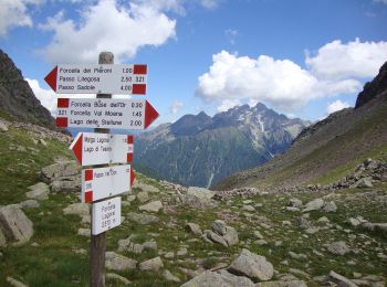 Randonnée A pied Ziano di Fiemme - Sentiero alpinistico attrezzato 