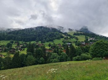 Excursión Senderismo La Clusaz - Les Converses, Les Étages, Crêt du Merle, Les Tollets, Les Converses  - Photo