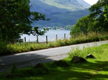 Percorso A piedi Eden - Aira Force and Gowbarrow Trail - Photo