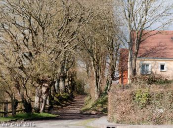 Percorso Marcia La Chapelle-Montligeon - La Chapelle-Montligeon - Longny-au-Perche 13 km - Photo