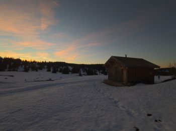 Tocht Sneeuwschoenen Saint-Agnan-en-Vercors - Gerland depuis la coche - Photo