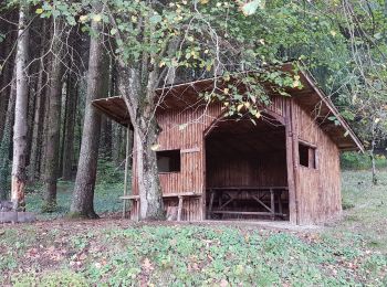 Excursión Senderismo Bourg-sous-Châtelet - st Germain 8km - Photo