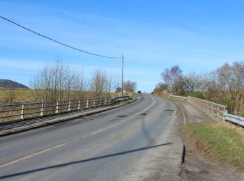 Tour Zu Fuß  - Cairnsmore of Carsphairn by the Green Well - Photo