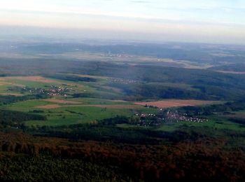 Trail On foot Bad Sobernheim - Jäger-aus-Kurpfalz-Weg (Entenpfuhl 3) - Photo