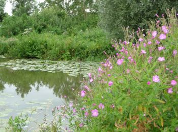 Randonnée A pied Clairmarais - Wikiloc Clairmarais: Etangs de Rommelaere (PVDB) - Photo