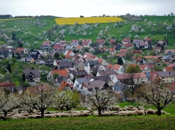 Tocht Te voet Weilheim an der Teck - blaue Raute Hepsisau Bissingen - Photo