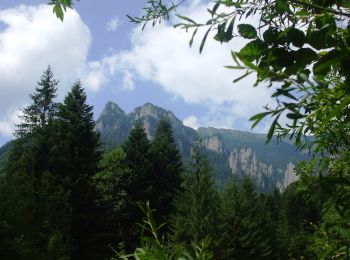 Percorso A piedi Bicaz - Cabana Izv. Muntelui – Stânca Dochiei – Cabana Dochia (blue triangle) - Photo