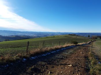 Percorso Mountainbike La Fouillouse - la fouillouse st heand - Photo