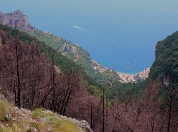 Trail On foot Vico Equense - IT-338 - Photo