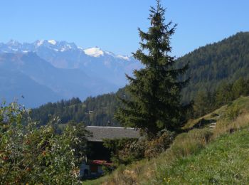 Tocht Noords wandelen Arbaz - Anzère  - Photo