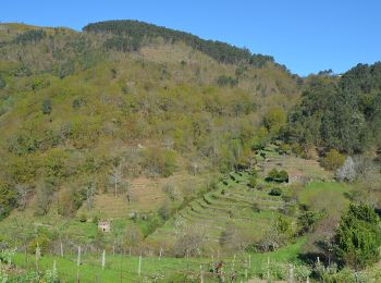 Percorso A piedi Merufe - Trilho do Caminho dos Mortos - Photo