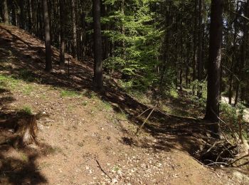 Randonnée A pied Krhanice - [Z] Zbořený Kostelec - Halíře - Photo