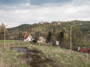 Tour Zu Fuß Szczytna - Góry Stołowe - Szczytnik - Photo