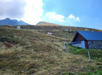 Tour Wandern Laval-en-Belledonne - Lac de Cropp, Orionde - Photo