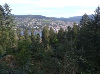 Trail Walking Gérardmer - Gérardmer  - Photo