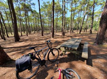 Tocht Hybride fiets Biscarrosse - Biscarrosse - Les dunes de Biscarrosse Plage - Photo