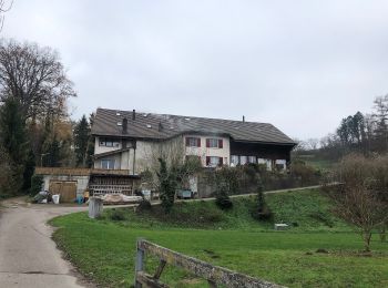 Excursión A pie Lottstetten - Ziegelhütte - Fähre Ellikon am Rhein (Hochwasser Alternativroute) - Photo