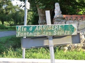 Tocht Te voet Saint-Martin-de-Seignanx - Riston - Photo