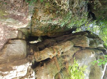 Randonnée Marche Vallée de l'Ernz - Medernach M4 - Müllerthal  - Photo